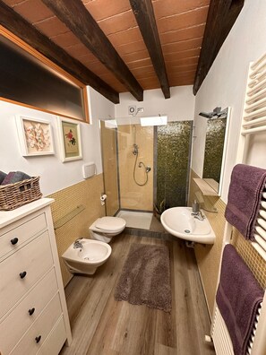Shower, hair dryer, bidet, towels
