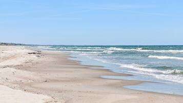 Vlak bij het strand, vissen