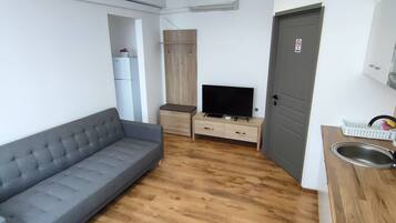 Un espacio habitable compacto con sofá, televisor, mueble de madera y una zona de cocina con lavabo.
