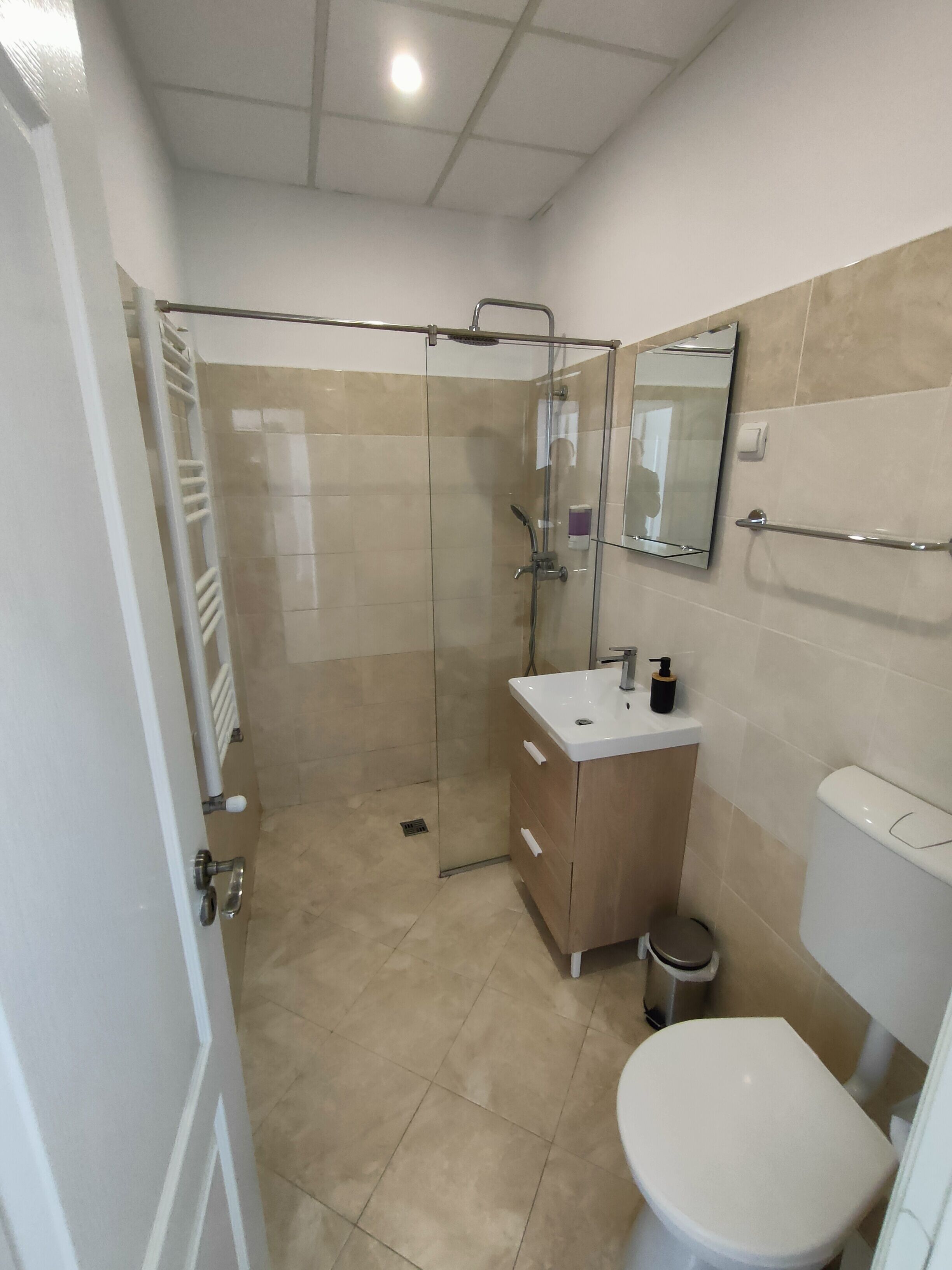A bathroom with a glass-enclosed shower, a white sink, and a toilet.