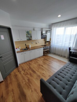 Private kitchen - Fanea Residence (Timisoara)