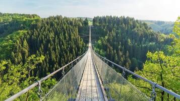 Un puente colgante con pasarela de madera y barandillas metálicas, rodeado de un bosque denso.