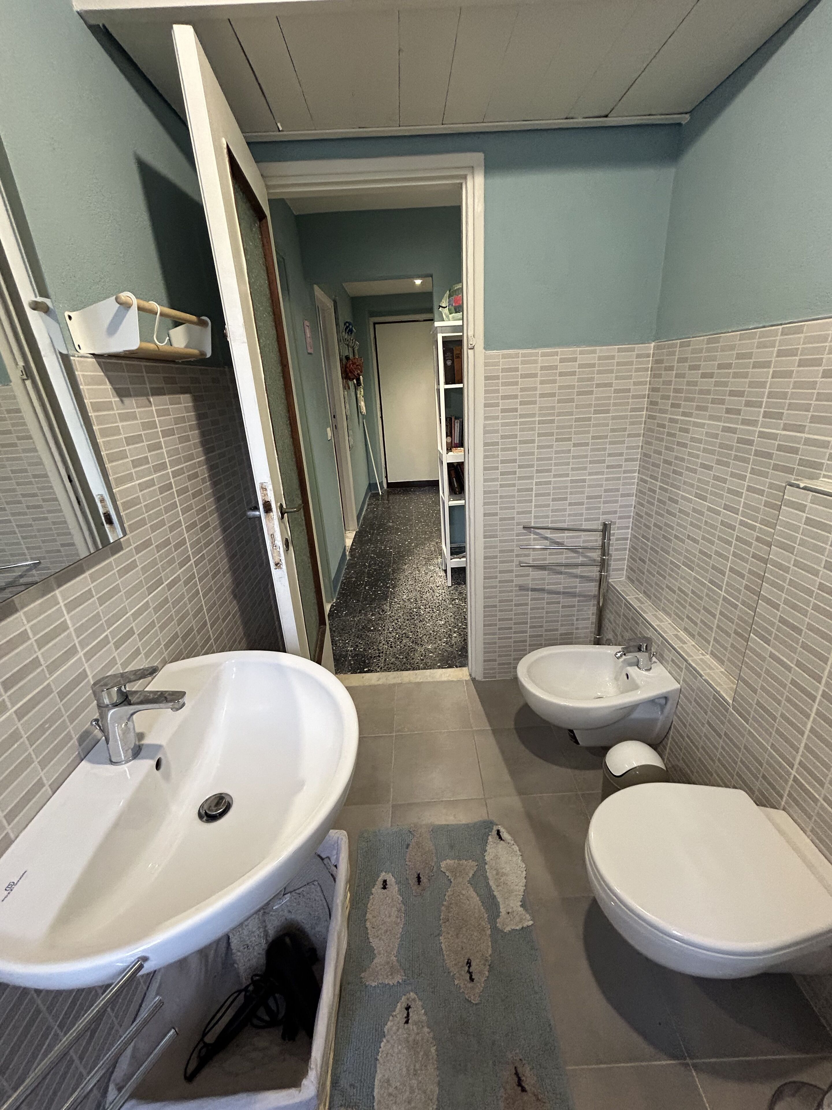 Dusche, Haartrockner, Bidet