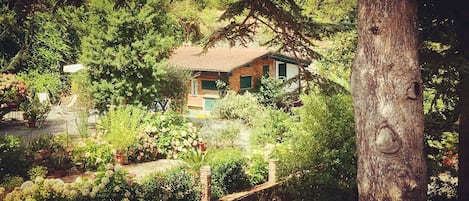 Jardines del alojamiento