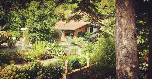 Lo Sceriffo delightful villa in dreamy garden A/C