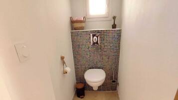 Douche, sèche-cheveux, serviettes fournies, papier toilette