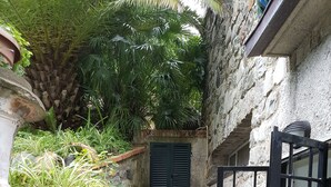 Una estrecha escalera de piedra que conduce a una puerta con reja de metal, rodeada de abundante vegetación y una palmera.