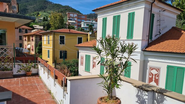 Ein Terrakotta-Topf mit einer Pflanze auf einem Balkon, mit Blick auf eine Reihe farbenfroher Häuser mit grünen Fensterläden und einer Bergkulisse.