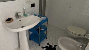 Shower, hair dryer, bidet, towels