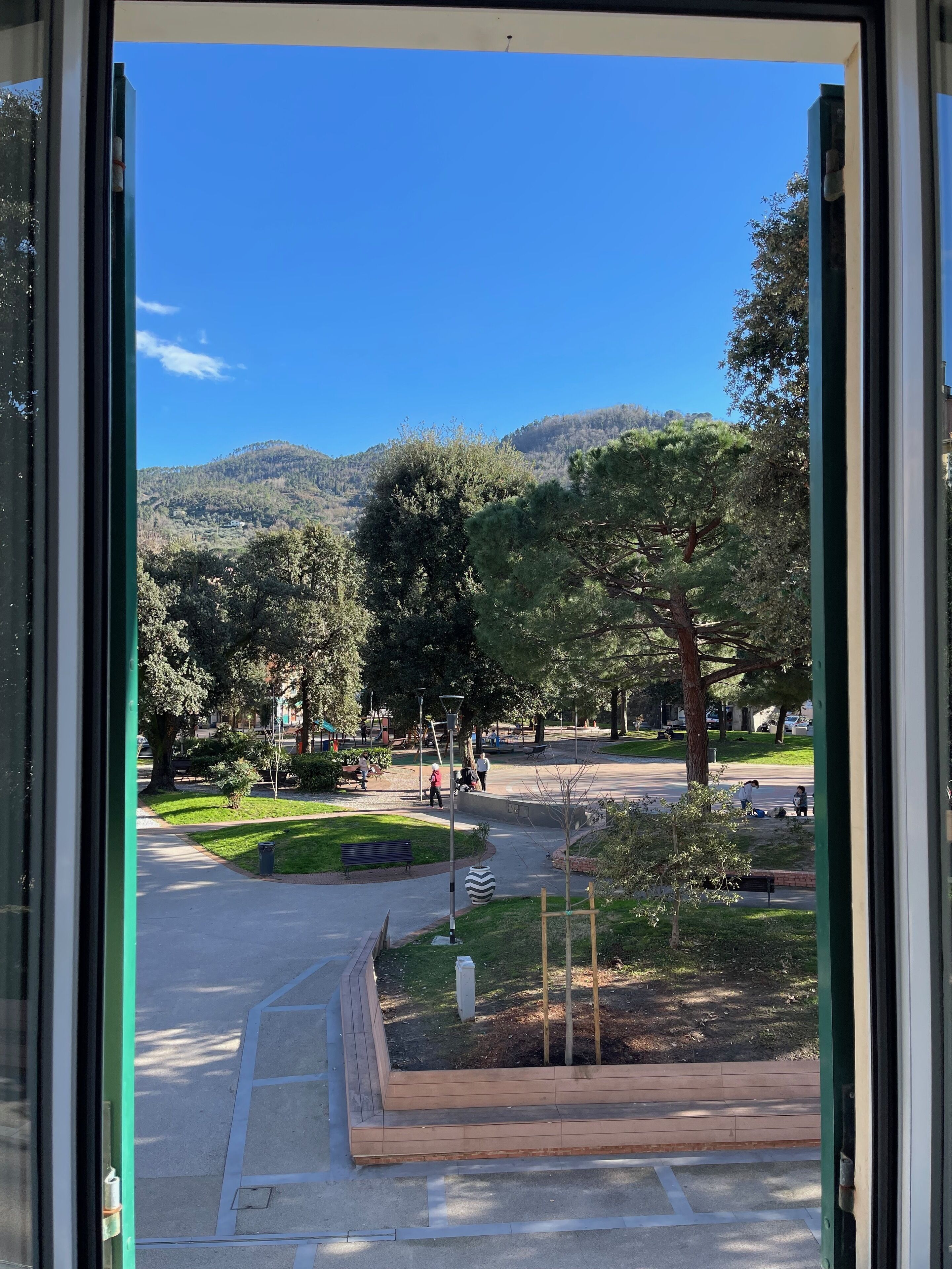 Vista desde una ventana a un parque con cielo despejado, árboles y una montaña distante.
