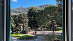 A view from a window of a park with a clear sky, trees, and a distant mountain.