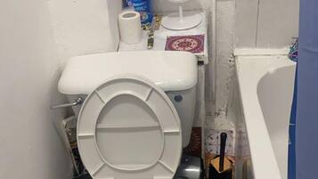 Apartment | Bathroom | Separate bathtub and shower, deep-soaking bathtub, hair dryer, towels