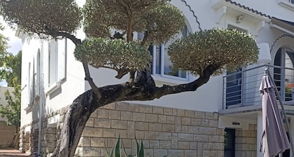 La Pastourelle