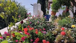A garden with a stone pathway leading to a white building. - Beautiful, traditional Greek home with stunning views. (Glossa)