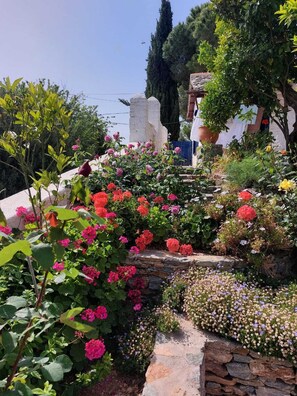 Overnattingsstedets uteområder