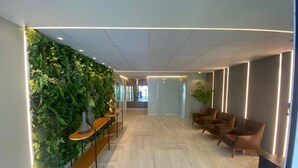 A modern interior with a green wall, wooden flooring, and leather chairs.