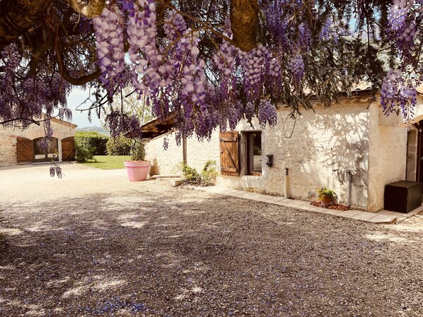 Property grounds - Gite DE Carbonade (Pailloles)