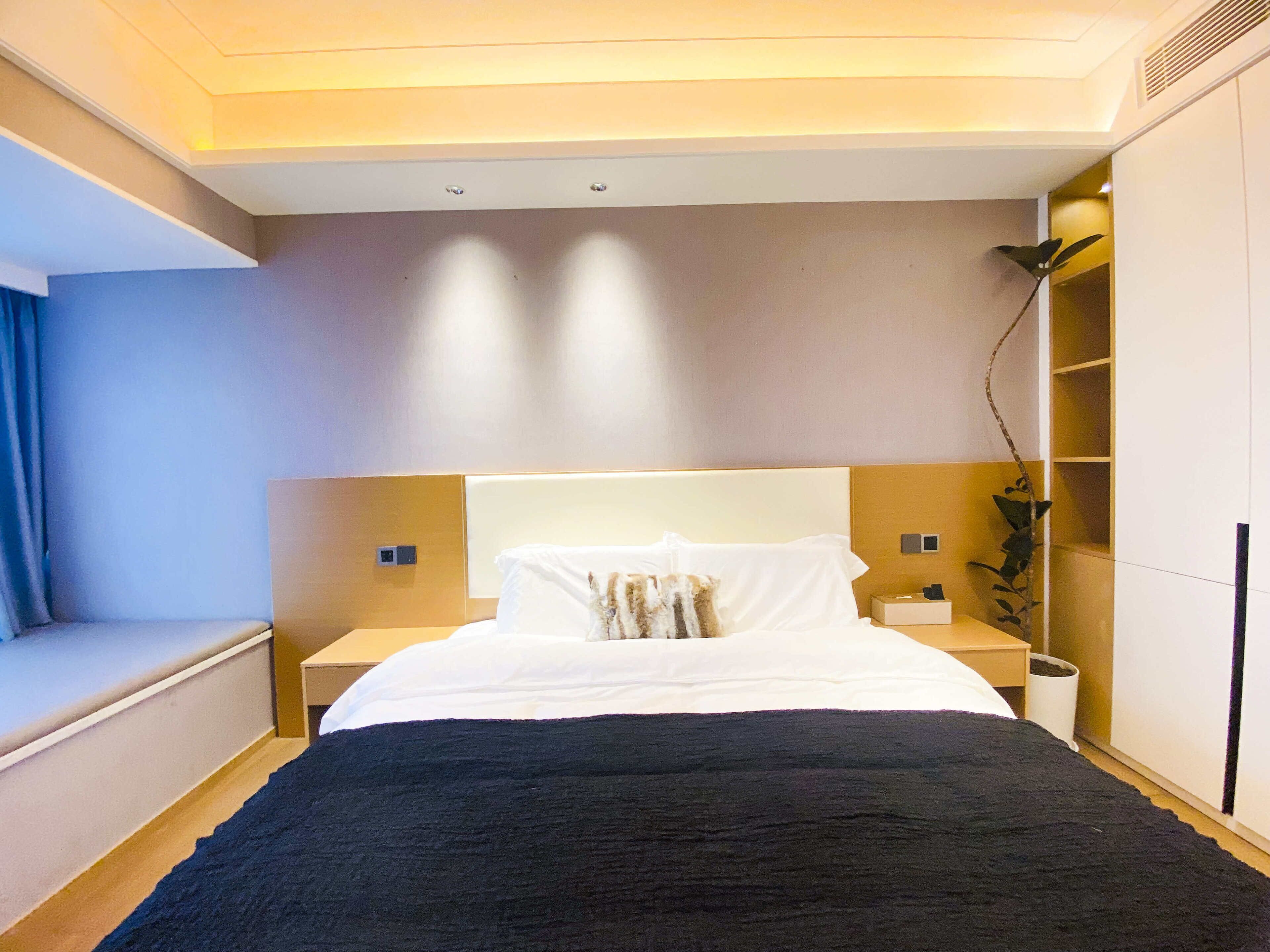 A modern hotel room with a large bed, bedside tables, a built-in bench, and a small plant.
