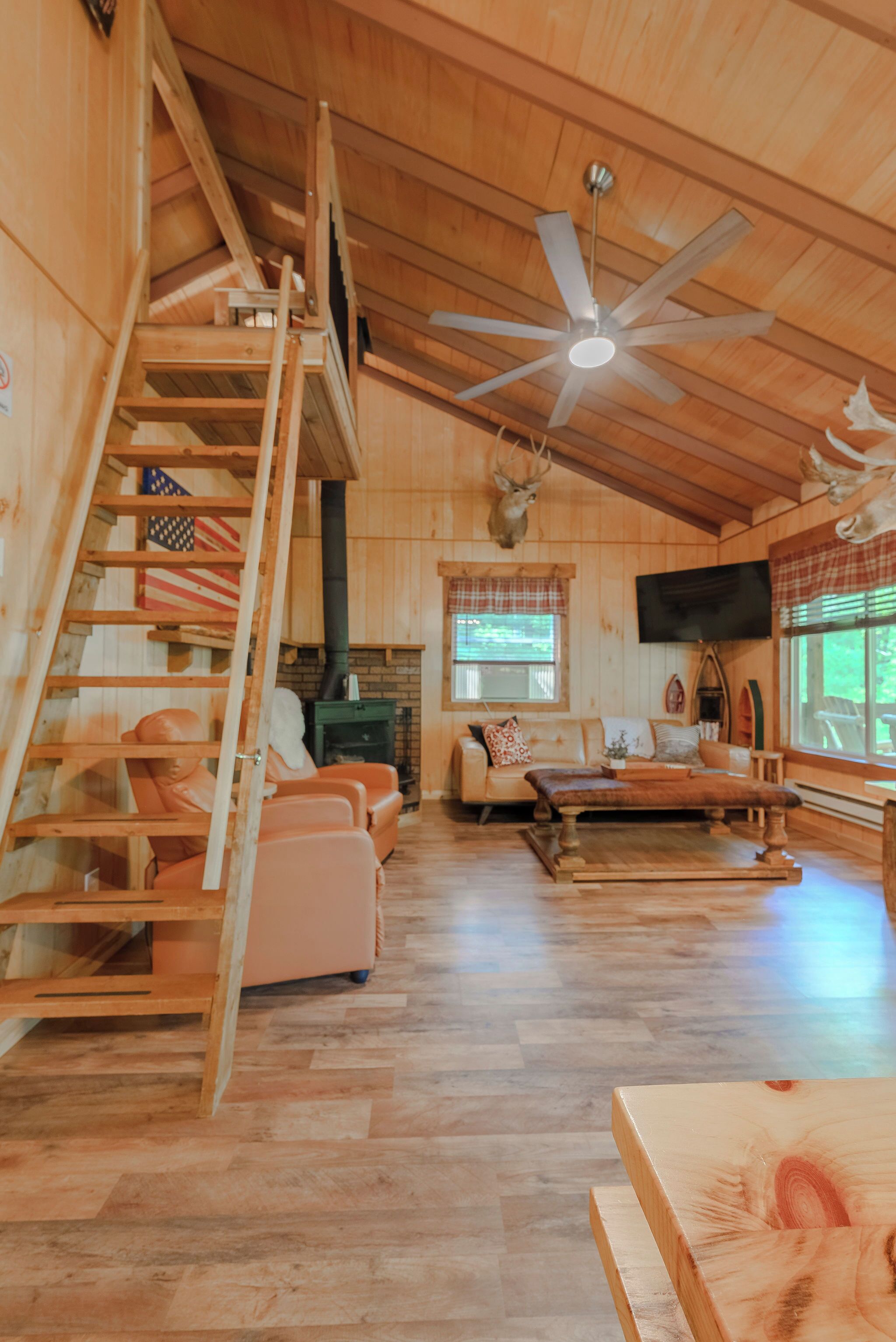 Smart TV, fireplace, DVD player, books