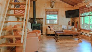 Smart TV, fireplace, DVD player, books