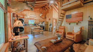 Smart TV, fireplace, DVD player, books