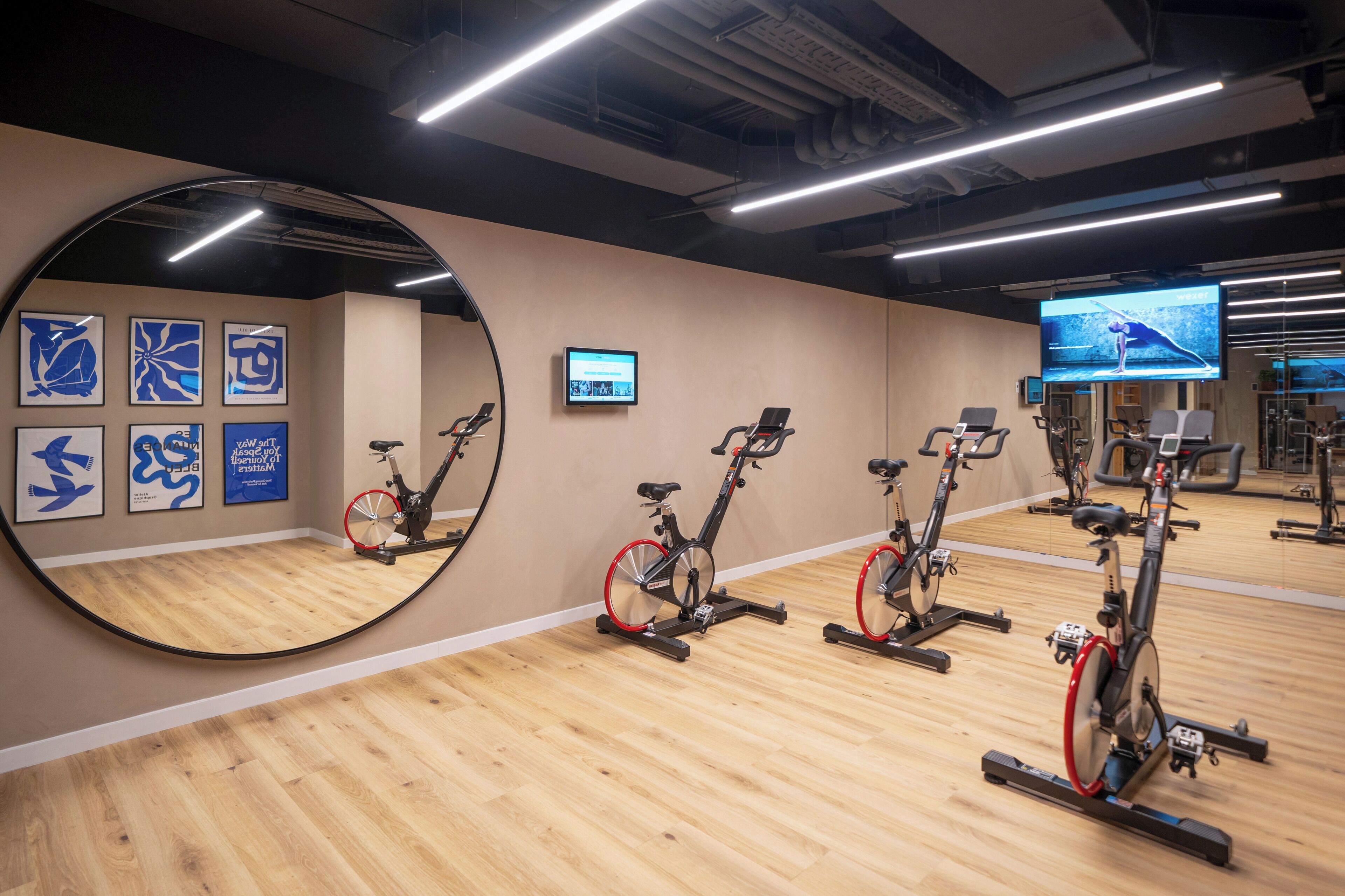 Gimnasio