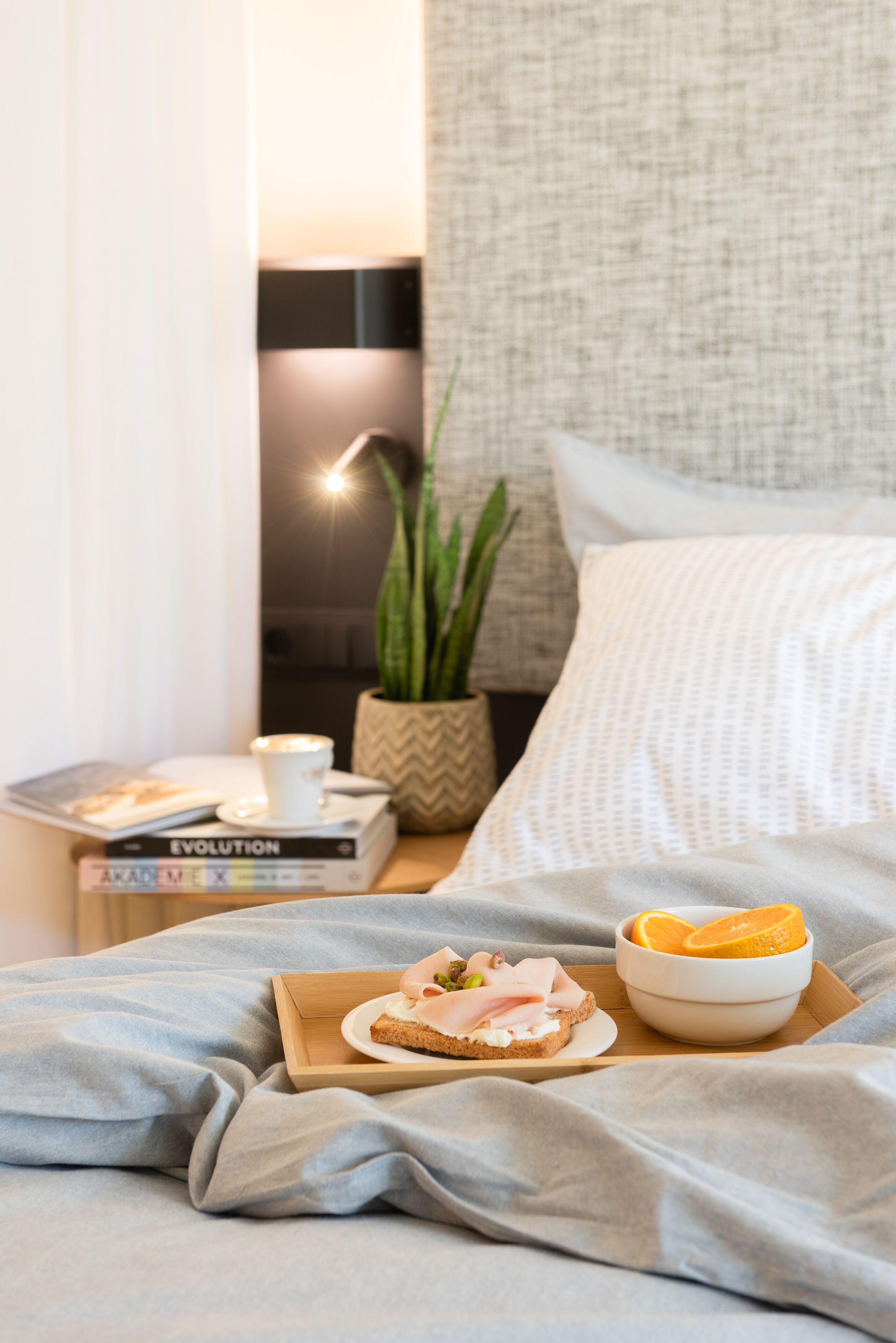 A neatly made bed with a light blue blanket, a bedside table with a book titled 'EVOLUTION', a small potted plant, and a tray with a sandwich and a bowl of fruit.