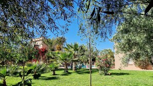A well-maintained garden with various plants and a clear blue sky. - Manzal Lahbab (Marrakech)