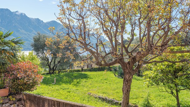 Ein von Bäumen gesäumter Garten mit Blick auf Berge im Hintergrund.