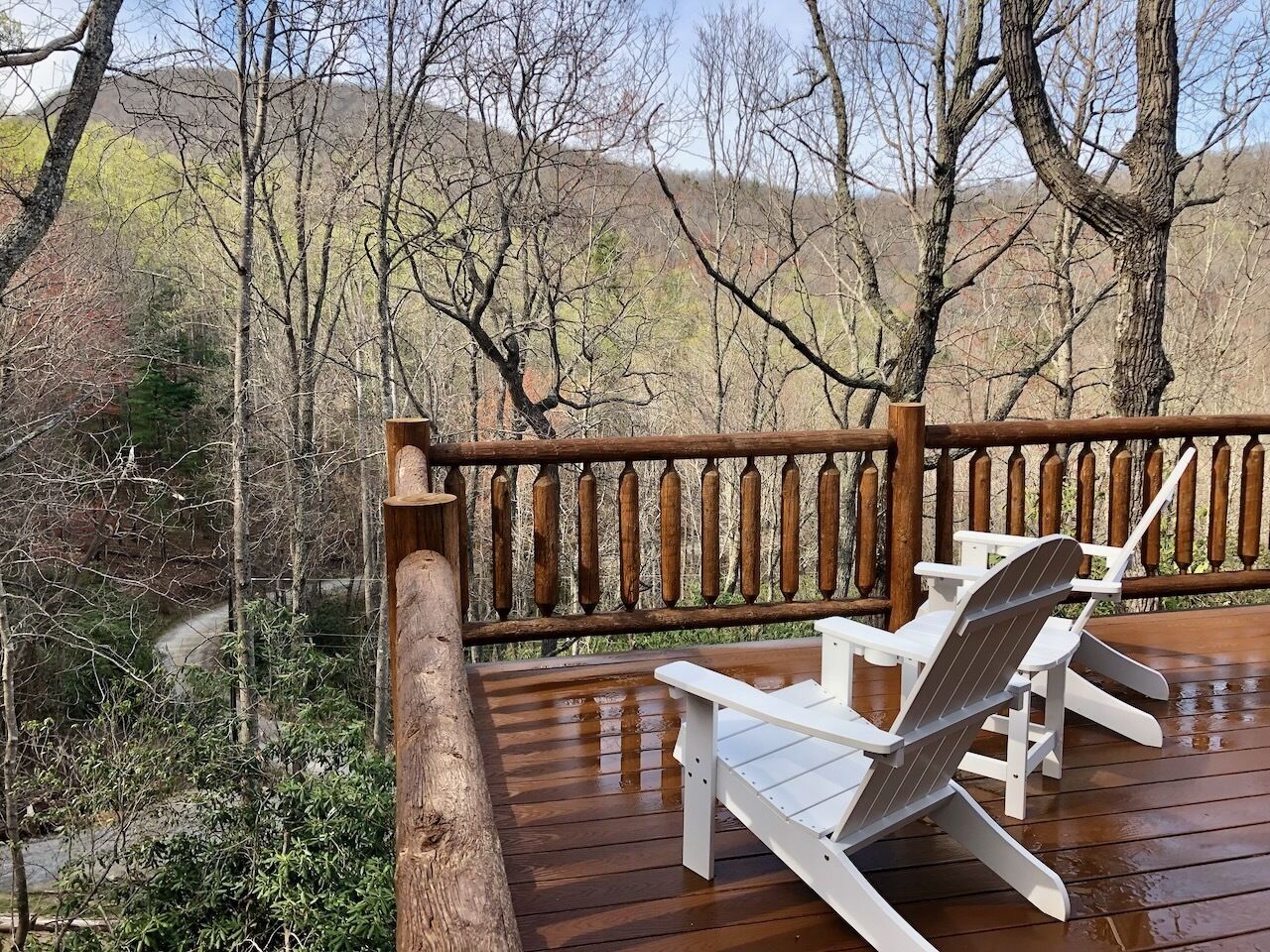 Brand NEW Blue Ridge Mountain cedar log cabin, fiber internet, 25 min to AVL