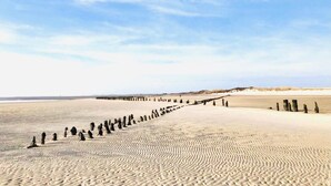 A sandy beach with a row of standing stones.