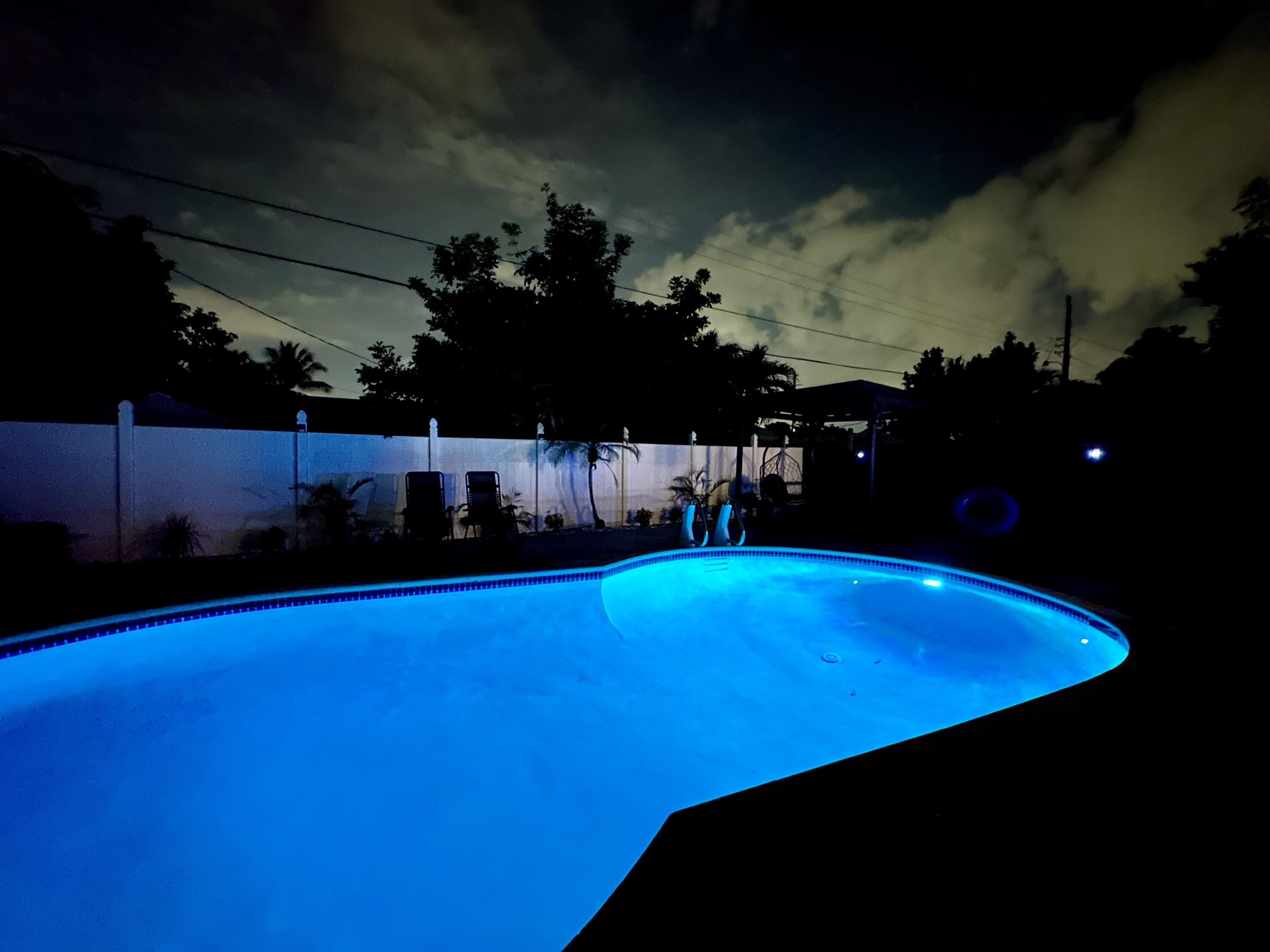 A swimming pool with a curved edge, surrounded by a white fence and palm trees.