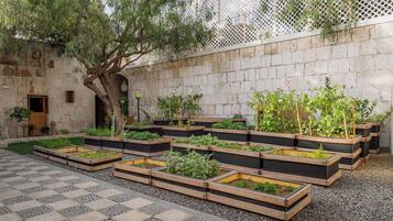 Un patio con jardines elevados, un árbol y un edificio con una puerta y una ventana.