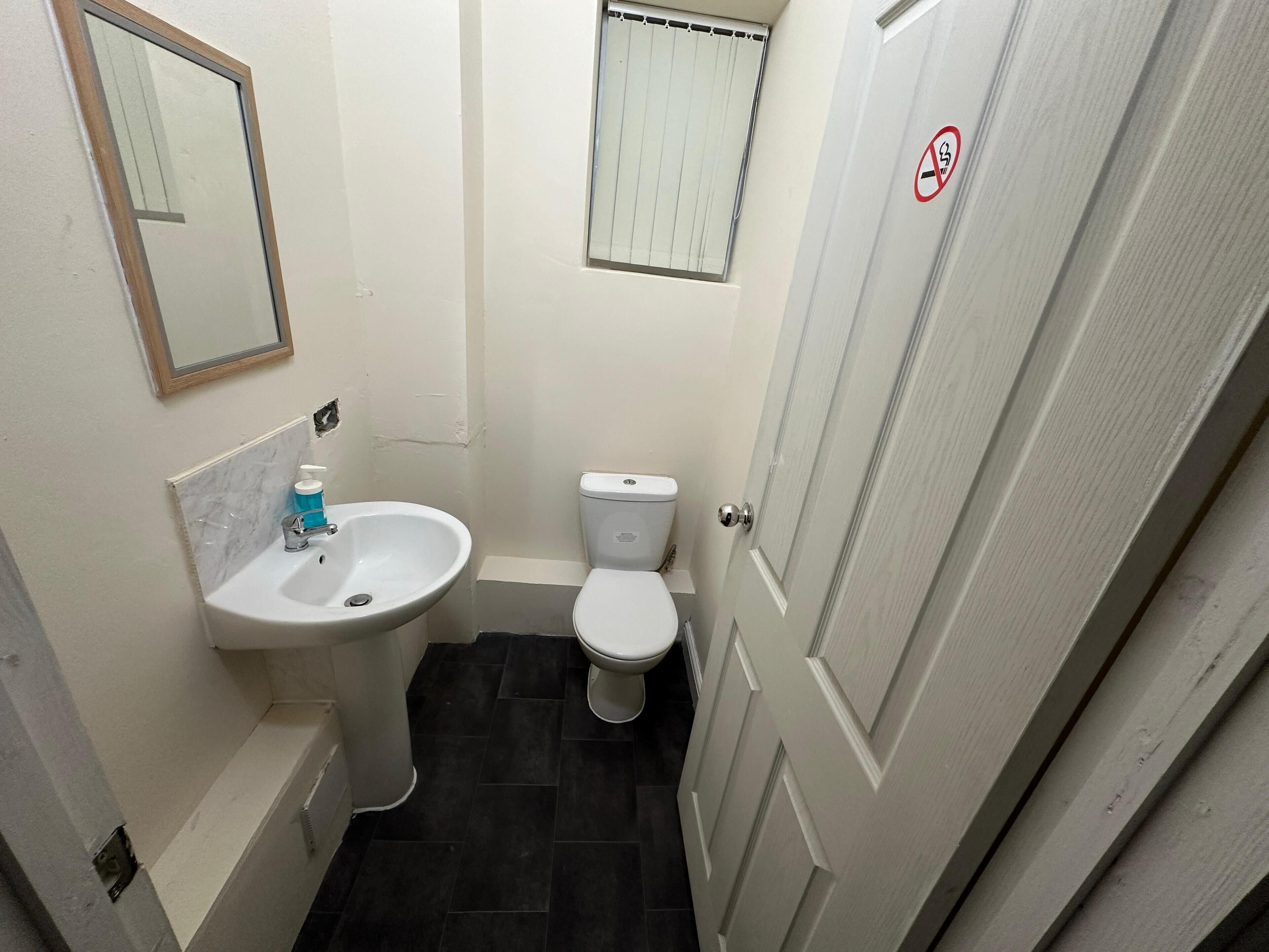 Un bany petit amb un lavabo, vàter i mirall.