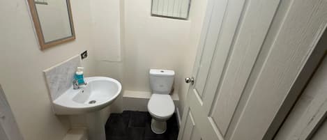 A small bathroom with a sink, toilet, and a mirror.