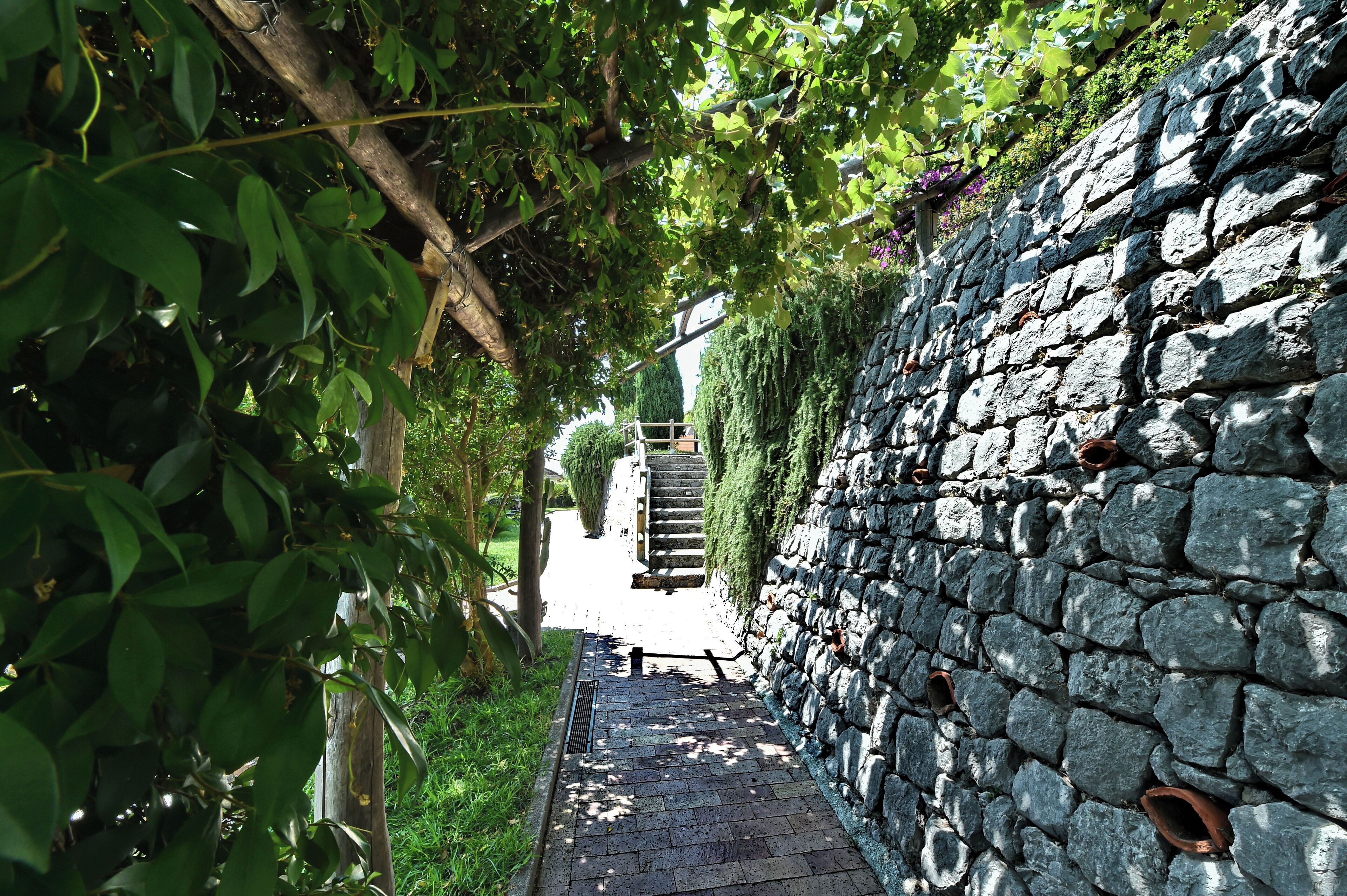 A stone pathway leading to a building, surrounded by greenery and climbing plants.