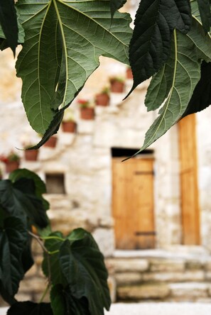 Exterior detail - Private traditional villa with swimming pool (Chania)
