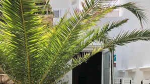 Ein schmaler Weg führt zu einem Eingang mit Glastür, gesäumt von einer Palme und einer Steinmauer.
