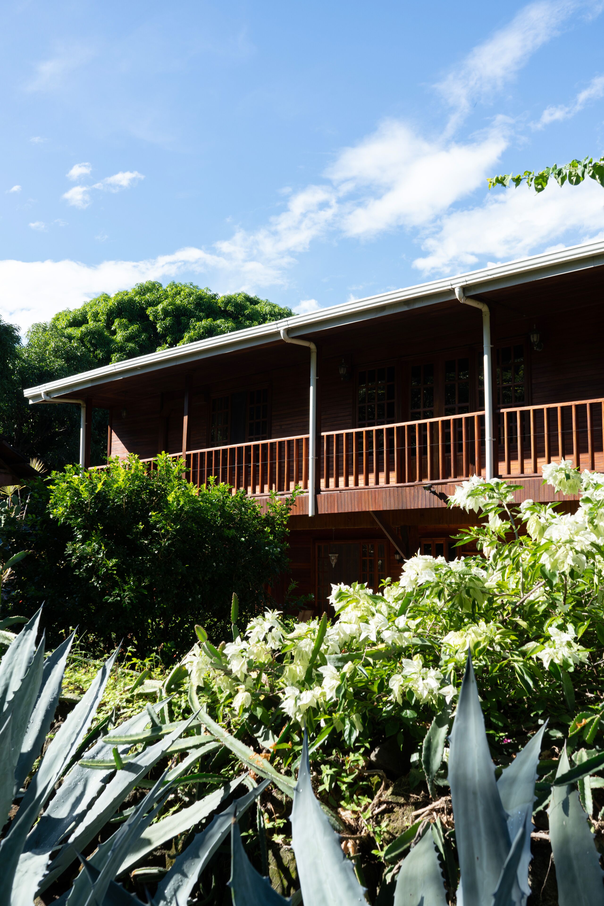A two-story wooden building with a balcony, surrounded by lush greenery and white flowers.