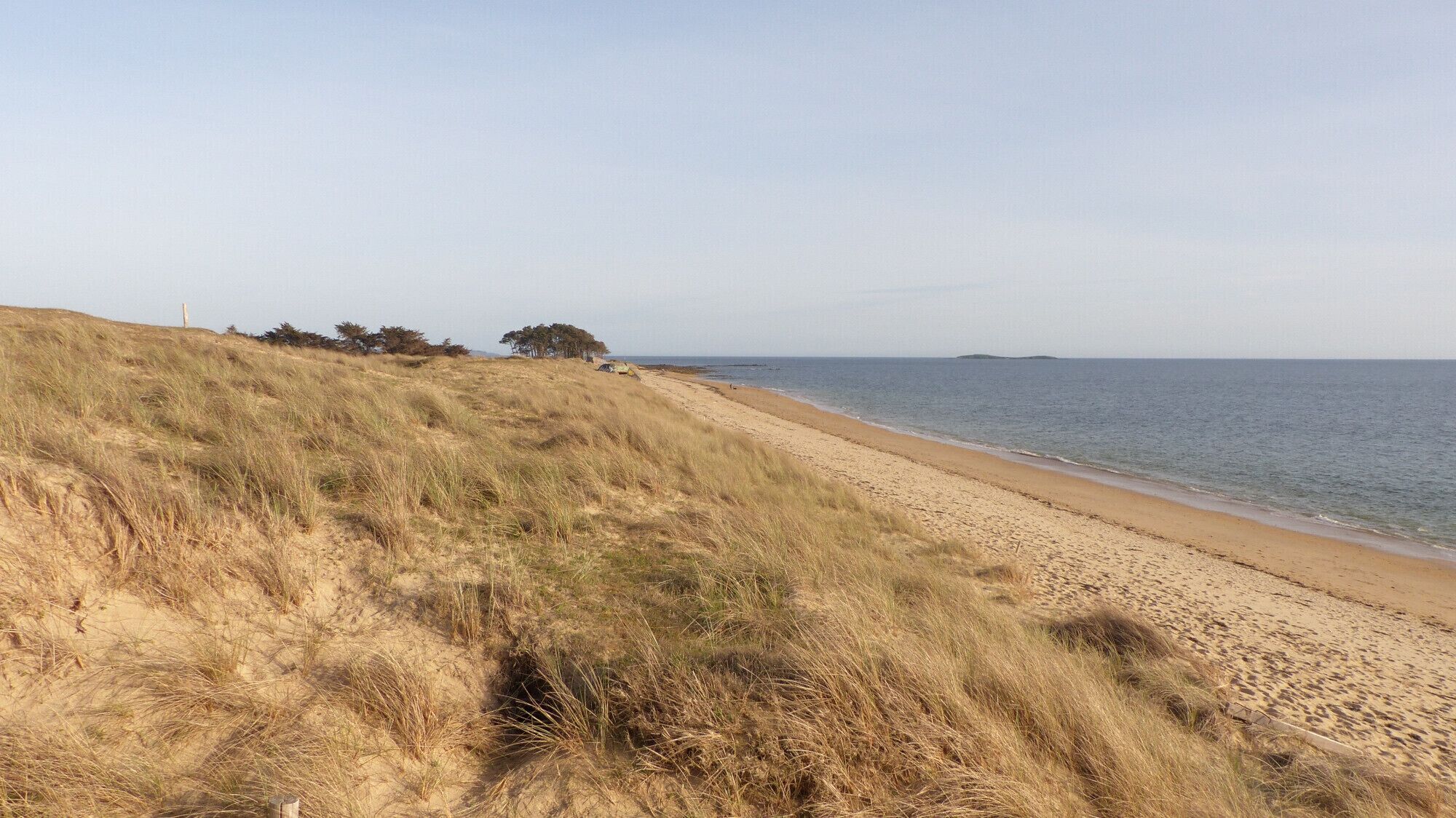 A beach with a grassy dune and a clear view of the ocean.