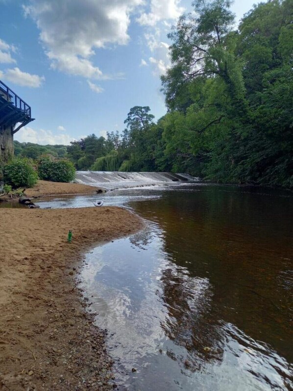 Beach - Nala Lodge (Knaresborough)