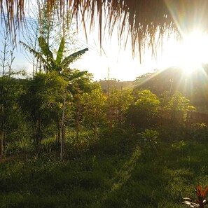 Exterior - Melody (Jerowaru)