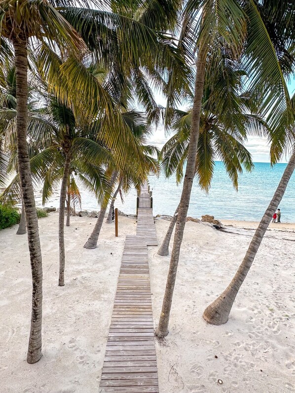 On the beach, sun-loungers, beach towels - Keys home overlooking the ocean and beautiful sunrises! (Islamorada)