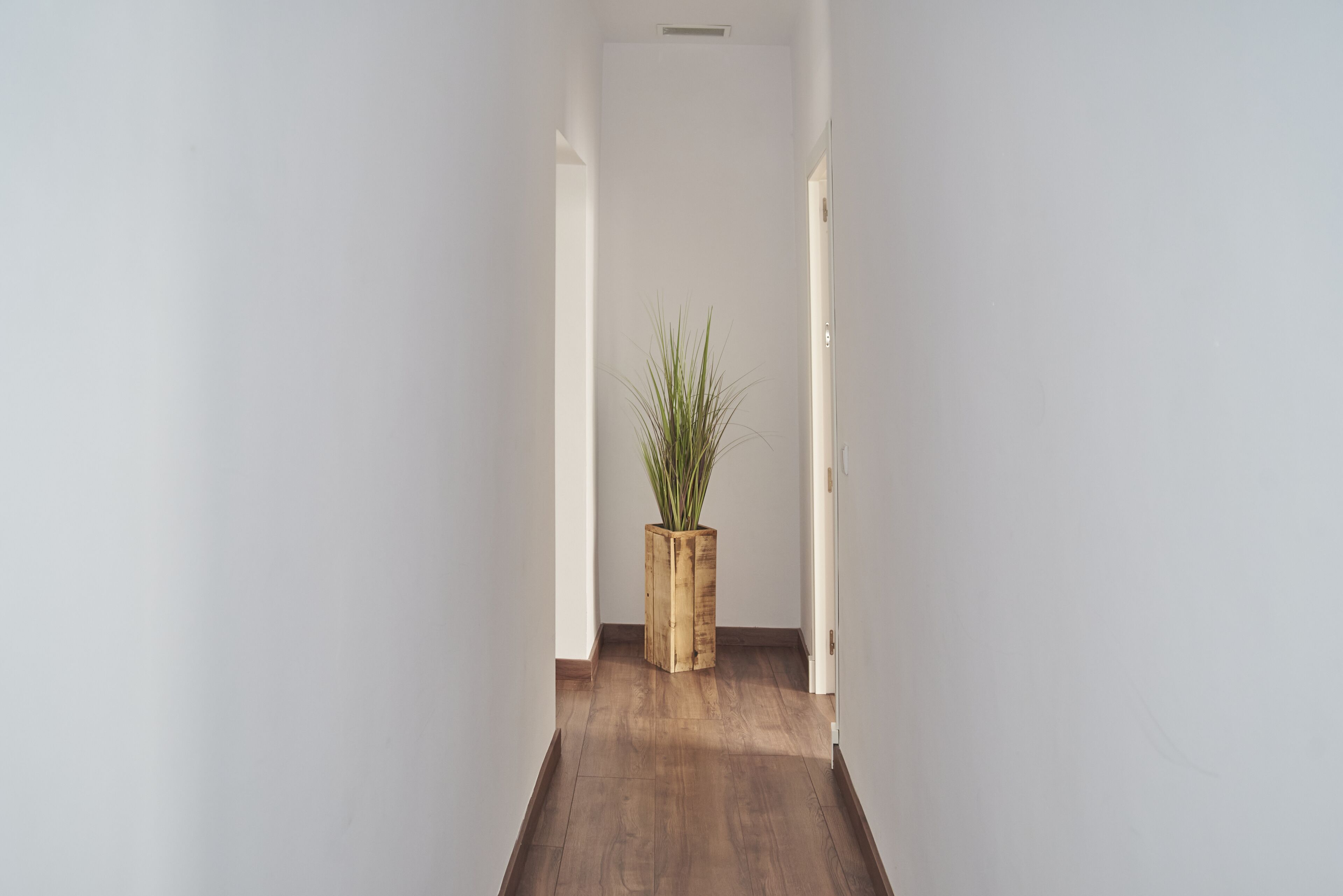 Un couloir étroit, doté d’un plancher en bois et orné d’une plante en pot au centre.