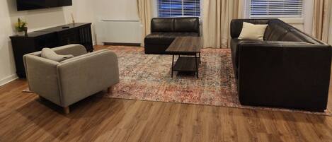 Smart TV, fireplace, books