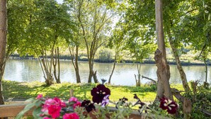 Ruhiger See mit Bäumen und Blumen.