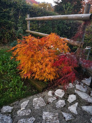 Un jardin avec un chemin de pierres, une clôture en bois et un feuillage d’automne.