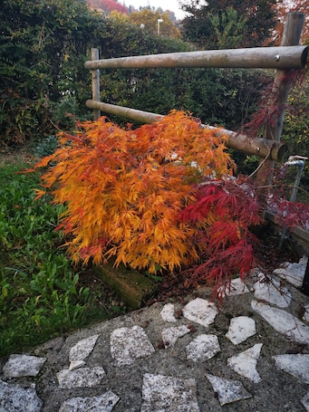 Exterior. LE BETULLE B&B