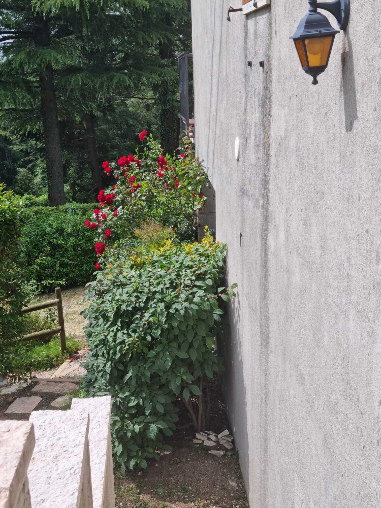 A garden with a concrete wall, a wooden fence, and a stone bench.