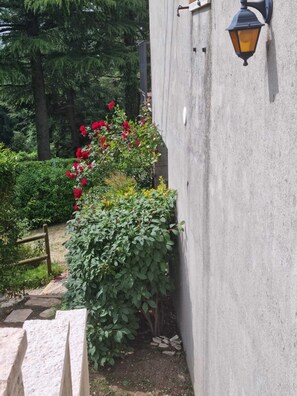 Jardín